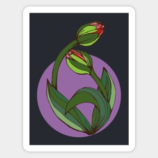 Botanical illustration of the Tulip plant Magnet